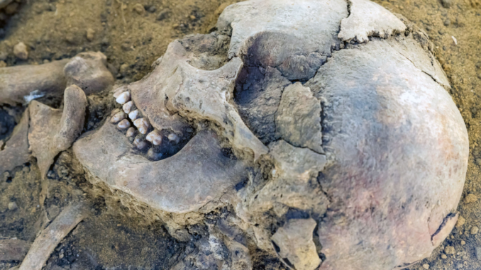 450 Vampire Skeletons Found!