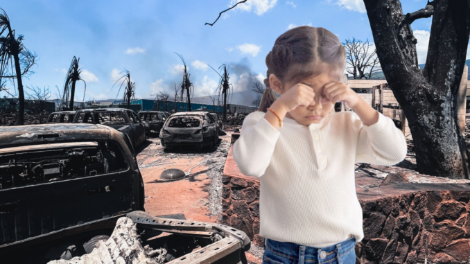 Maui Fires: Where Are The Children?
