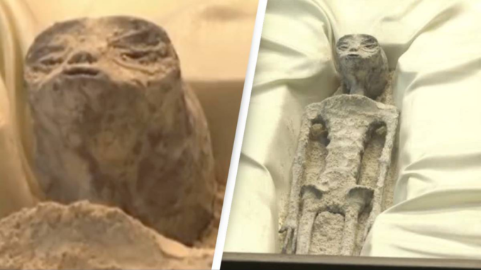 Alien Corpses Presented To Mexican Congress!