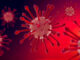 Fauci Unable To Answer Key Questions In COVID Pandemic Probe