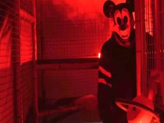 Shock: Mickey Mouse To Star In Two Horror Movies!