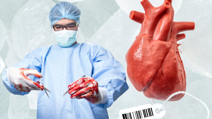 U.S. Hospitals Harvesting Organs From Living Patients!
