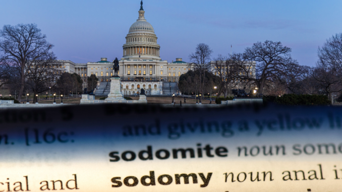 Buggerist Will Not Be Charged In Capitol Sex Offense! The David Zublick Channel 58.8K followers