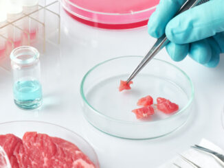 Would You Eat Lab Grown Meat?