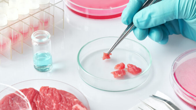 Would You Eat Lab Grown Meat?