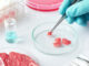 Would You Eat Lab Grown Meat?
