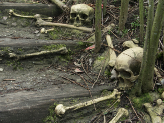 Are Cannibals Coming To The U.S.?