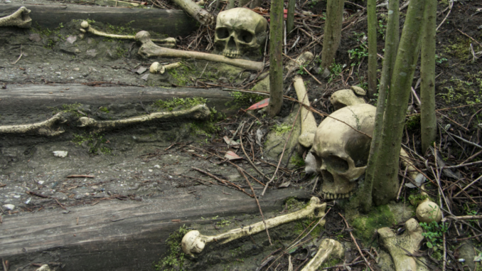 Are Cannibals Coming To The U.S.?
