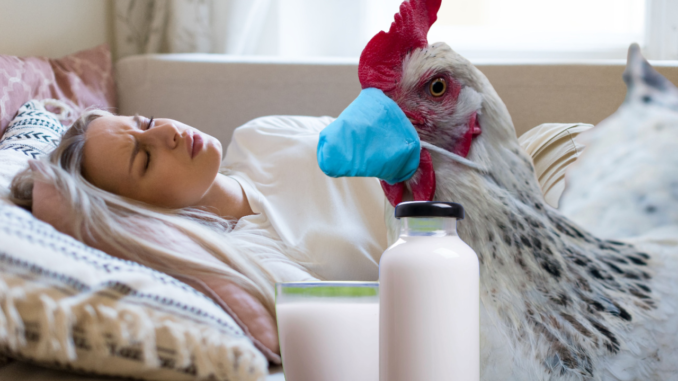 Bird Flu Found In Grocery Store Milk