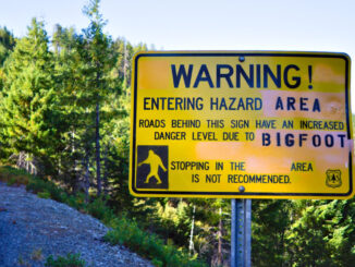 Is Bigfoot Real?