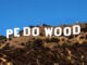 Pedowood Babylon