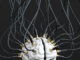 The Awake Nation LIVE 06.25.2024