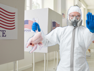 Will Bird Flu Cancel The Vote?