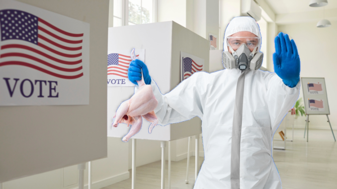 Will Bird Flu Cancel The Vote?