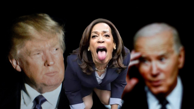 Harris 2024: How Far Will She Go?