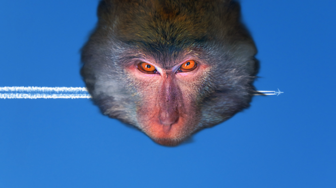 Bill Gates Spreading MPOX Thru Chemtrails