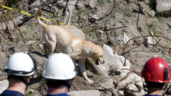 Mystery: Helene & Milton Cadaver Dogs Dropping Dead