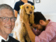 Bill Gates: All Pets Must Die