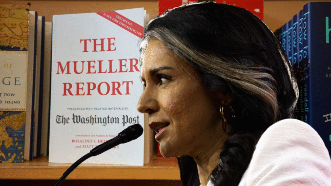 Tulsi Gabbard Reveals The Creation Of The Russia Hoax