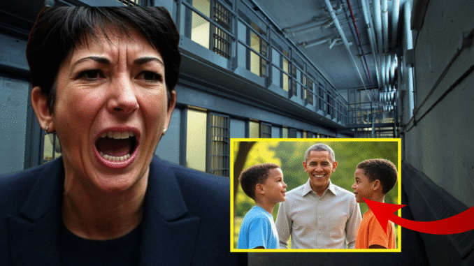 Epstein Had Kompromat On Obama