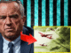 RFK Jr. Chemtrails Are Causing Most Cancers