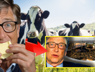 Bill Gates Fake Butter Made From Human Waste