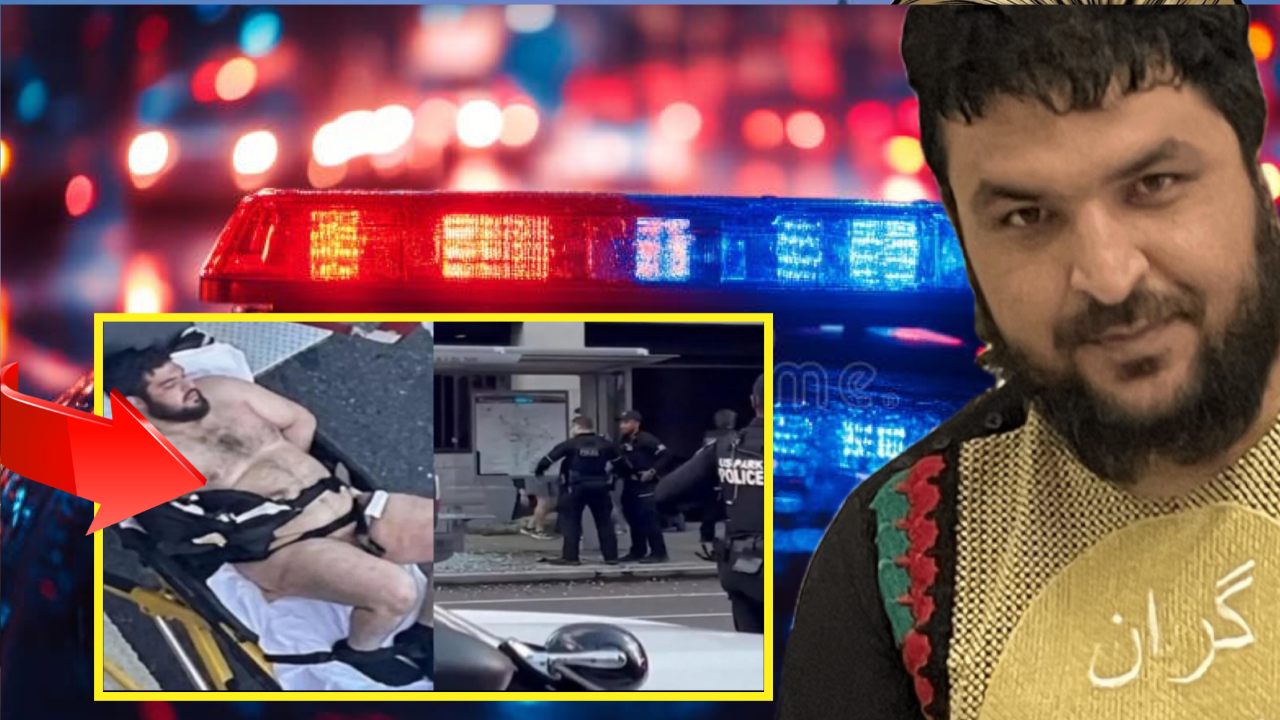 National Guard Assassin Worked For CIA