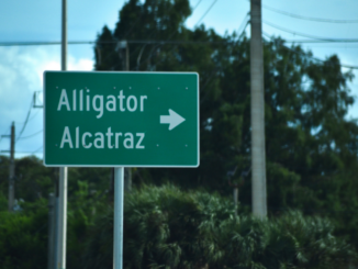 US Army Corps Discovers Landmines At Alligator Alcatraz During Moat Survey